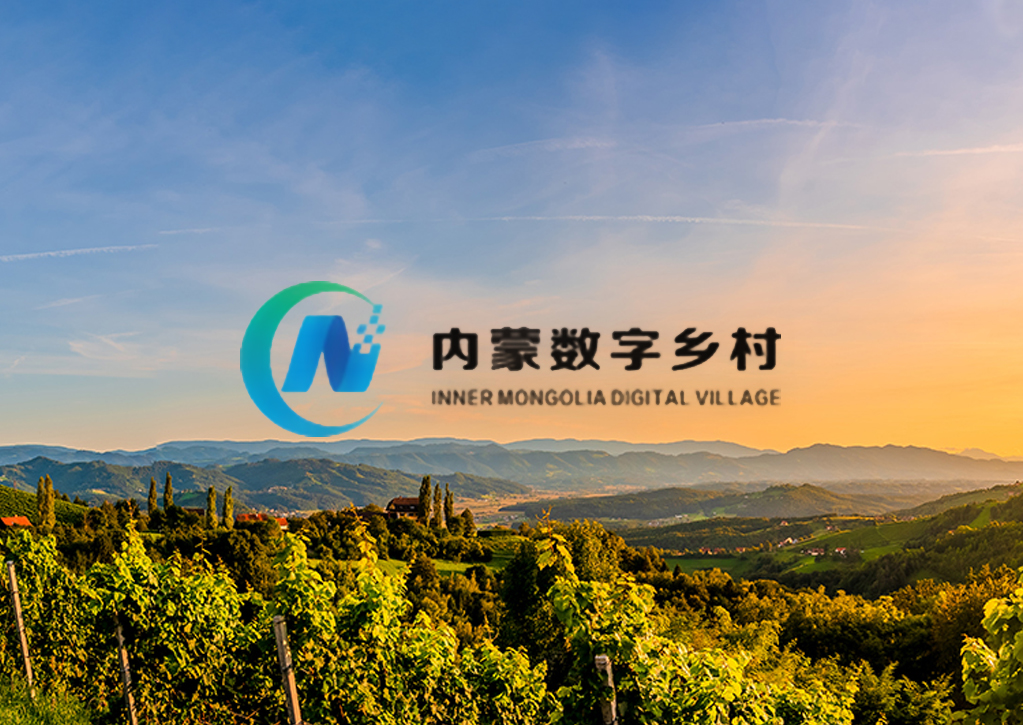 内蒙古数字墟落生长有限公司