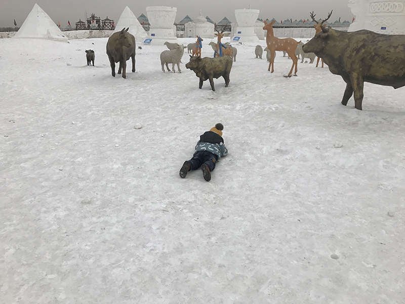 尊龙凯时 - 人生就是搏!